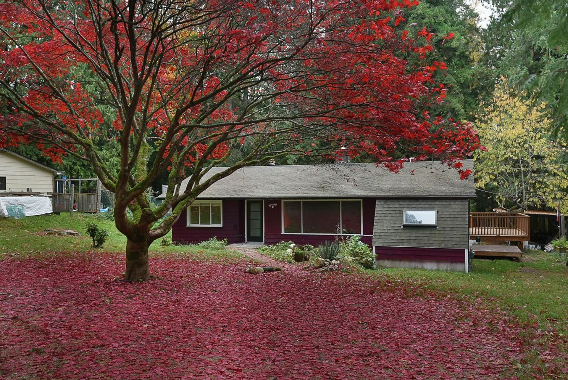 894 North Road, Gibsons & Area, Sunshine Coast photo number 1 894 North Road, Gibsons & Area, Sunshine Coast photo number 1