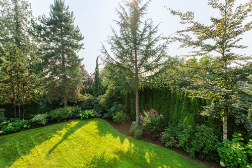 18638-54a-avenue-surrey-17 at 18638 54a Avenue