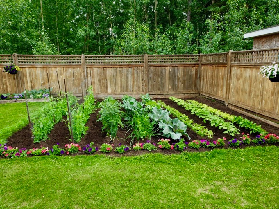 attzk4vhmkub58h3jttxcr40pgm07pzsqizmz87izofmym at 52 Caribou Crescent, Fort Smith