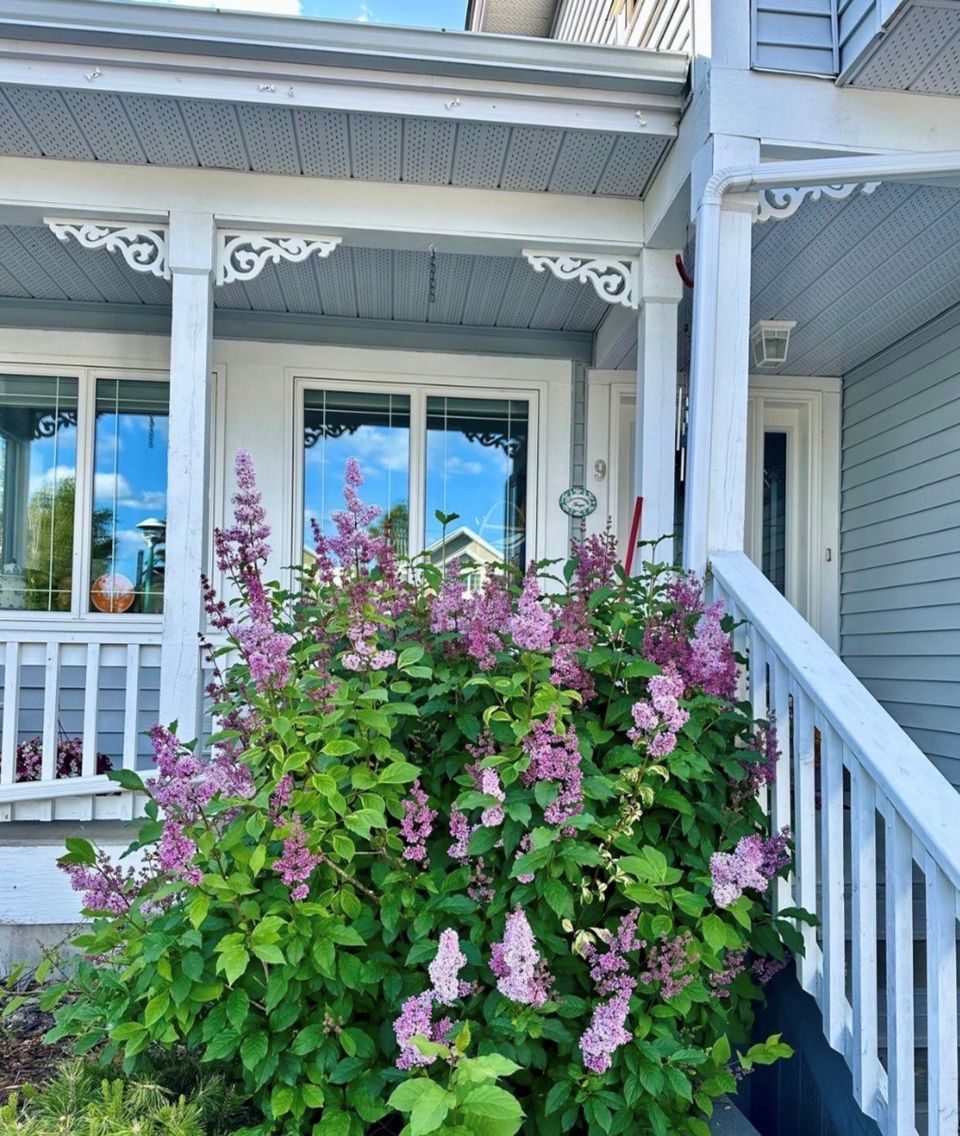 Summer photo at 9 England Crescent, Frame Lake South, Yellowknife