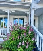 Summer photo at 9 England Crescent, Frame Lake South, Yellowknife