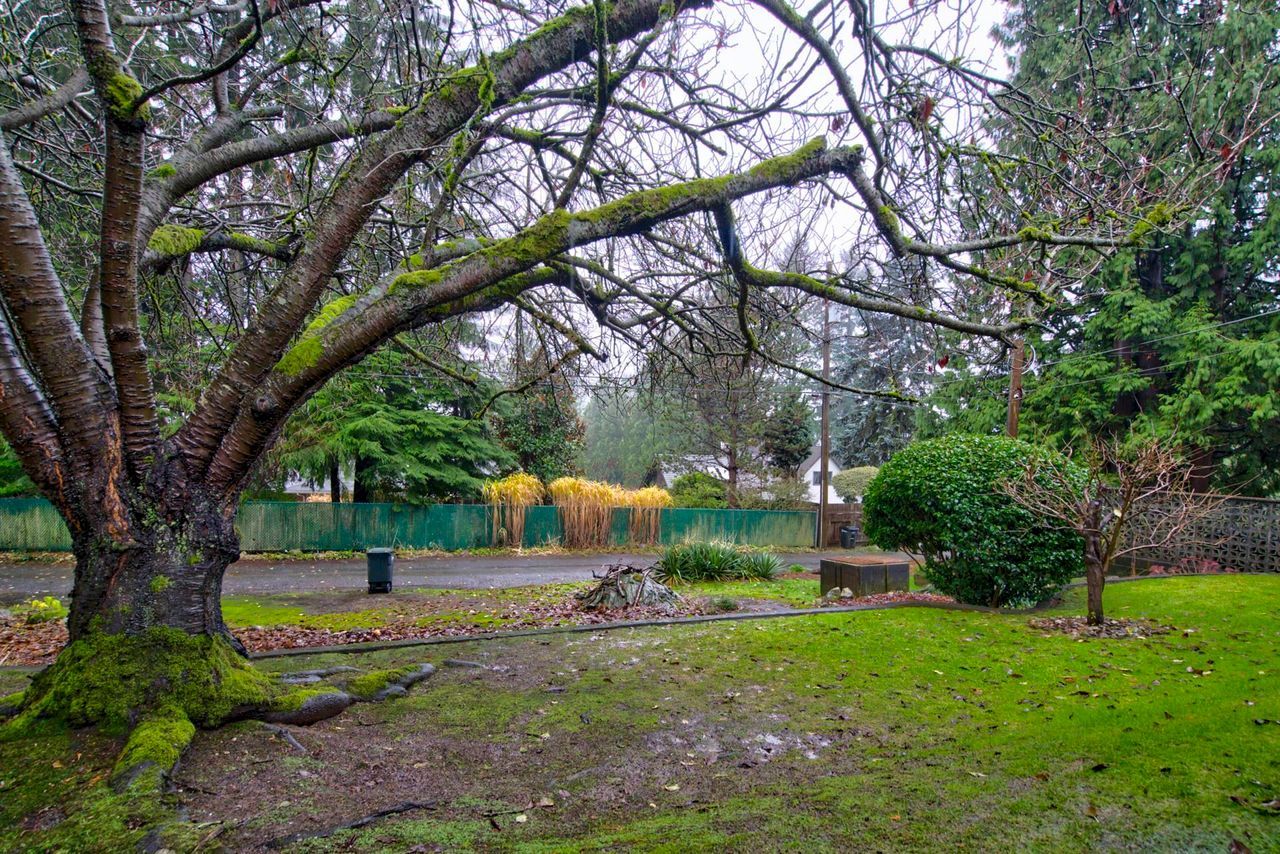 5550-monarch-street-deer-lake-place-burnaby-south-24 at 5550 Monarch Street, Deer Lake Place, Burnaby South