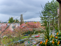 at 305 - 550 East 6th Avenue, Mount Pleasant VE, Vancouver East  at 305 - 550 East 6th Avenue, Mount Pleasant VE, Vancouver East