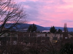 at 305 - 550 East 6th Avenue, Mount Pleasant VE, Vancouver East  at 305 - 550 East 6th Avenue, Mount Pleasant VE, Vancouver East