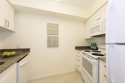  at 307 - 2222 Prince Edward Street, Mount Pleasant VE, Vancouver East