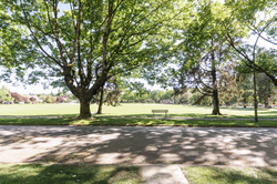 at 769 West 20th Avenue, Cambie, Vancouver West  at 769 West 20th Avenue, Cambie, Vancouver West