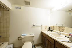  at 433 West 20th Avenue, Cambie, Vancouver West