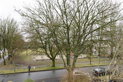  at 395 EAST 36th Avenue, Main, Vancouver East