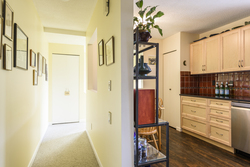 at 5 - 61 East 23rd Avenue, Main, Vancouver East  at 5 - 61 East 23rd Avenue, Main, Vancouver East