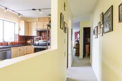 at 5 - 61 East 23rd Avenue, Main, Vancouver East  at 5 - 61 East 23rd Avenue, Main, Vancouver East