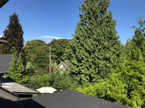 at 3868 Laurel Street, Cambie, Vancouver West  at 3868 Laurel Street, Cambie, Vancouver West