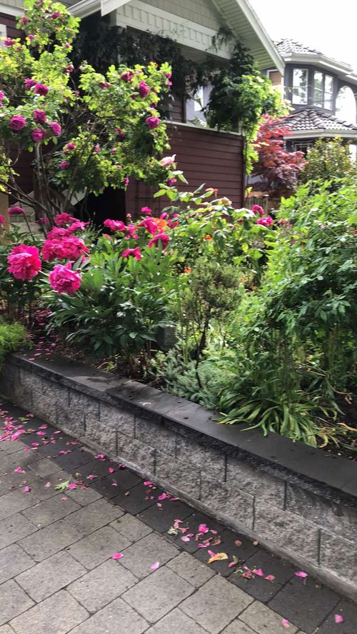  at 822 East 21st Avenue, Fraser VE, Vancouver East