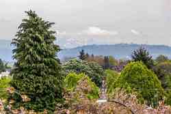  at 260 E 17th Avenue, Main, Vancouver East