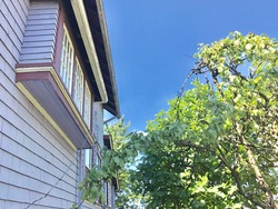at 4427 James Street, Main, Vancouver East  at 4427 James Street, Main, Vancouver East