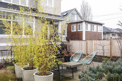  at 332 East 37th Avenue, Main, Vancouver East