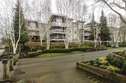  at 101 - 5700 Andrew's Road, Steveston South, Richmond