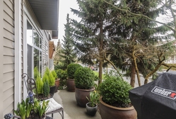 at 101 - 5700 Andrew's Road, Steveston South, Richmond  at 101 - 5700 Andrew's Road, Steveston South, Richmond