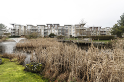 at 101 - 5700 Andrew's Road, Steveston South, Richmond  at 101 - 5700 Andrew's Road, Steveston South, Richmond