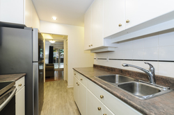 at 3084 Alberta Street, Cambie, Vancouver West  at 3084 Alberta Street, Cambie, Vancouver West