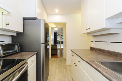 at 3084 Alberta Street, Cambie, Vancouver West  at 3084 Alberta Street, Cambie, Vancouver West