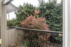at 3084 Alberta Street, Cambie, Vancouver West  at 3084 Alberta Street, Cambie, Vancouver West