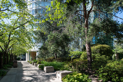 alberni-print-20 at 1604 - 1288 Alberni Street, West End VW, Vancouver West