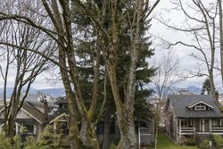 at 584 West 17th Avenue, Cambie, Vancouver West  at 584 West 17th Avenue, Cambie, Vancouver West