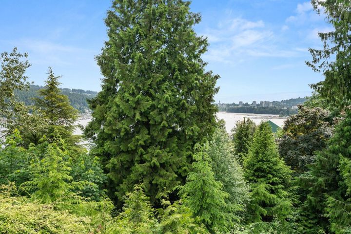 518-cardiff-way-college-park-pm-port-moody-29 at 518 Cardiff Way, College Park PM, Port Moody 518-cardiff-way-college-park-pm-port-moody-29 at 518 Cardiff Way, College Park PM, Port Moody