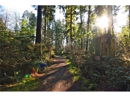 image-260801335-20.jpg at 207 - 999  Road, Blueridge NV, North Vancouver