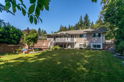 Lisa--Colin-20 at 2438 Berkley Avenue, Blueridge NV, North Vancouver Lisa--Colin-20 at 2438 Berkley Avenue, Blueridge NV, North Vancouver