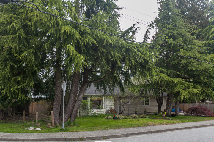 colin-1 at 1901 Foster Avenue, Central Coquitlam, Coquitlam