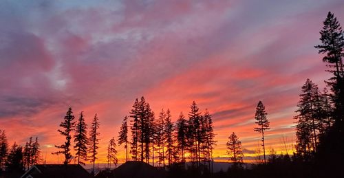 180-sycamore-drive-heritage-woods-pm-port-moody-31 at 180 Sycamore Drive, Heritage Woods PM, Port Moody