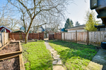 backyard2 at 4538 Sophia Street, Main, Vancouver East