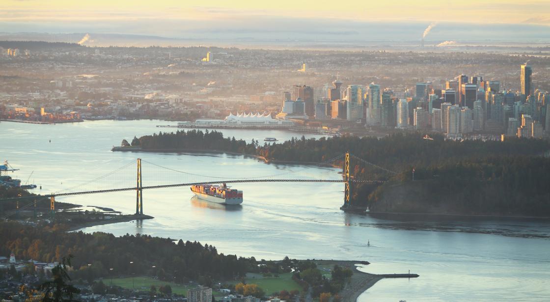 Local Insight & Tenure