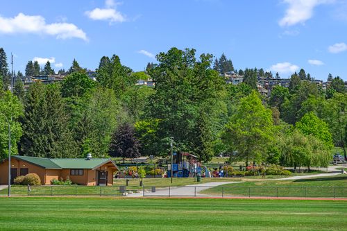 dsc08356 at 