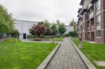 courtyard at  courtyard at