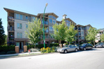 mlsdsc_8863 at  mlsdsc_8863 at