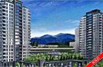 1006dawson at  1006dawson at