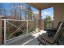 259308778-6 at  259308778-6 at