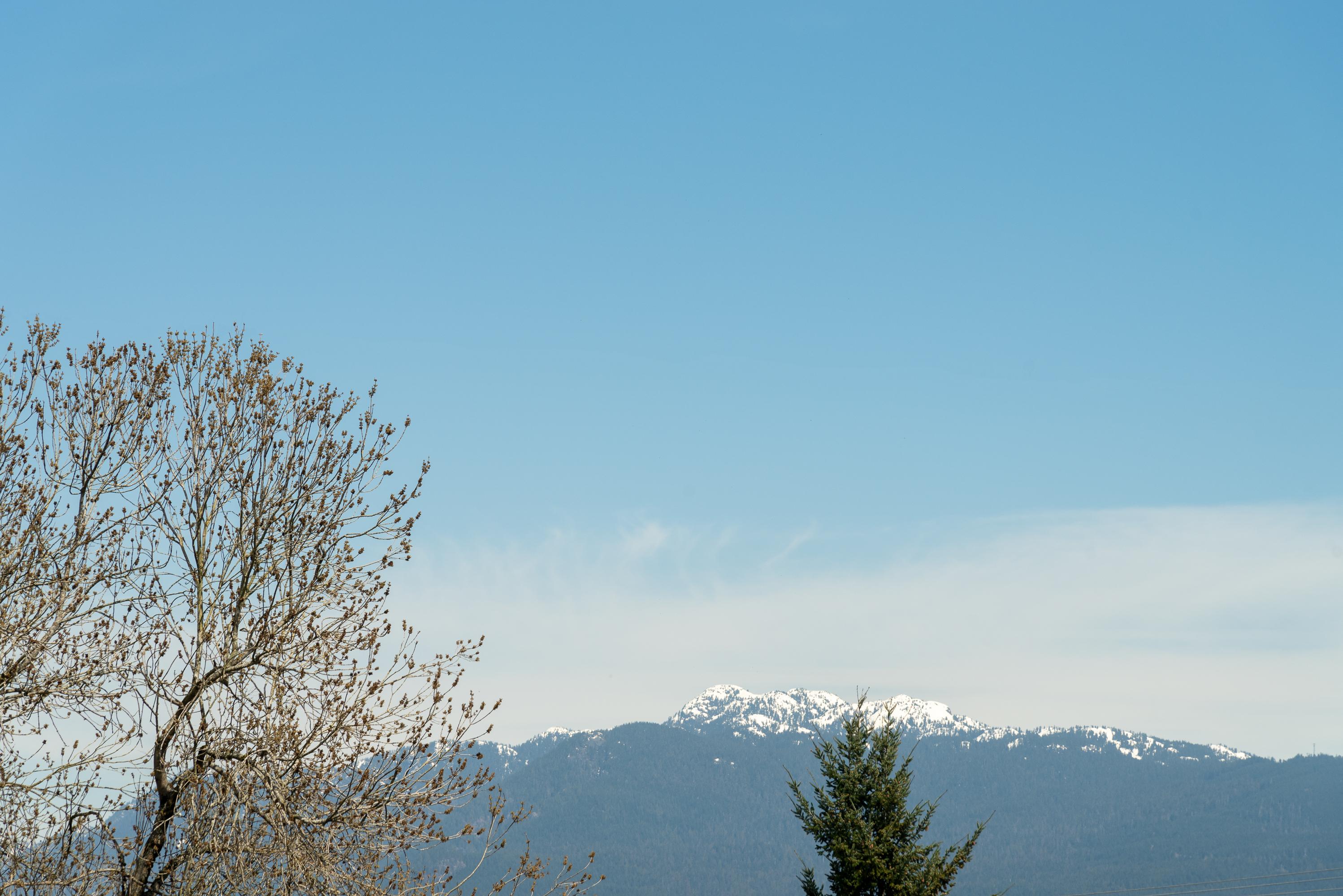 2057 Venables Street, Grandview Woodland, Vancouver East 3 2057 Venables Street, Grandview Woodland, Vancouver East 3