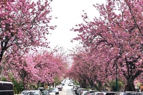 thumbnail_image1 at 