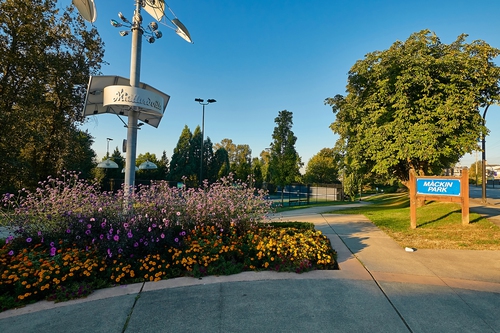 community_mackin_park at  community_mackin_park at