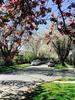 262079729-2 at  262079729-2 at
