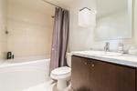 262064106-16 at 