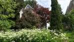 Front---Flowers at 