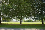 PARK at  PARK at