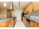 262146550-3 at  262146550-3 at