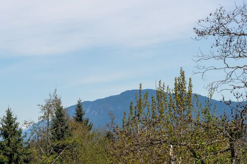13858-108-avenue-whalley-north-surrey-11 at 