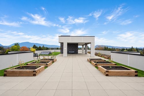 rooftop-patio at 