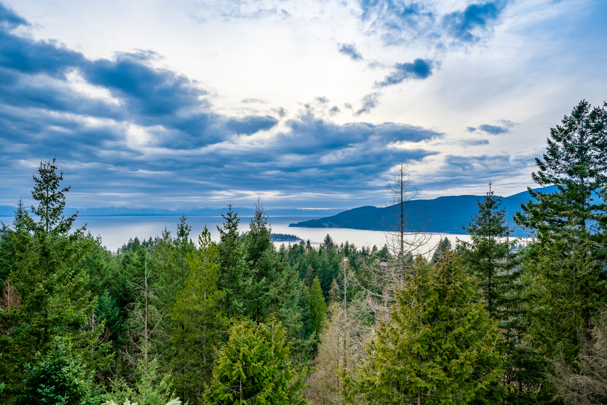 at 4667 Woodridge Place, Cypress Park Estates, West Vancouver